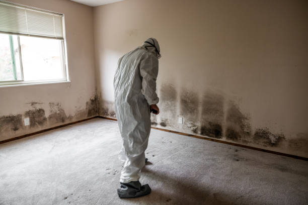 Mold Remediation for Rental Properties in Gibbon, NE